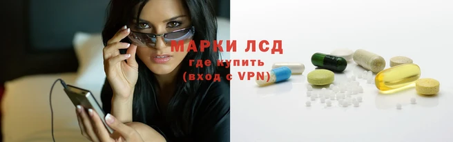 mdpv Богородск