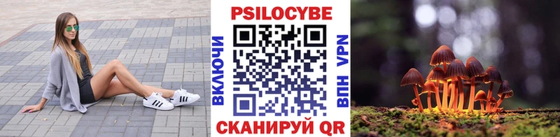 Галлюциногенные грибы мухоморы  blacksprut как зайти  Котельнич 